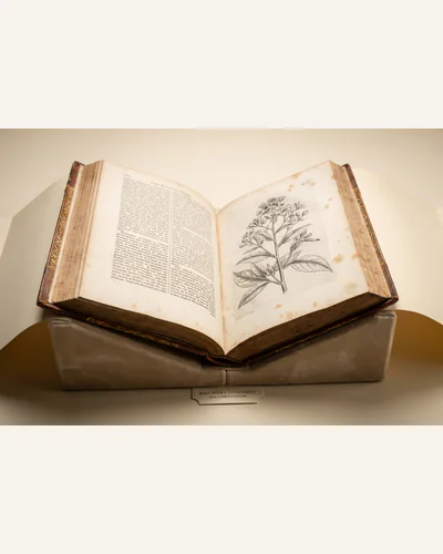 An antique calf-bound folio open on a padded cradle showing letterpress text and an engraved plate.